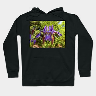 Pair of Purple Irises Hoodie